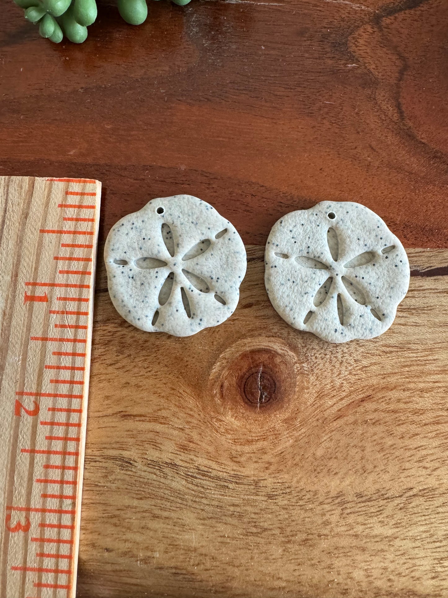 Sand Dollar Pair