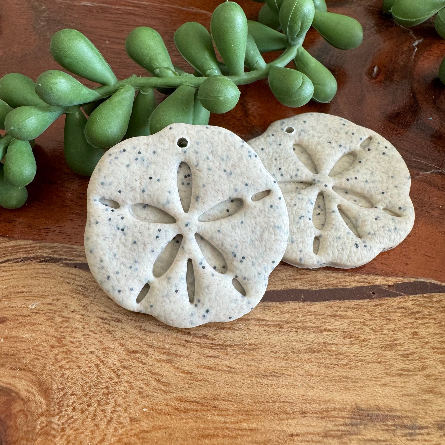 Sand Dollar Pair
