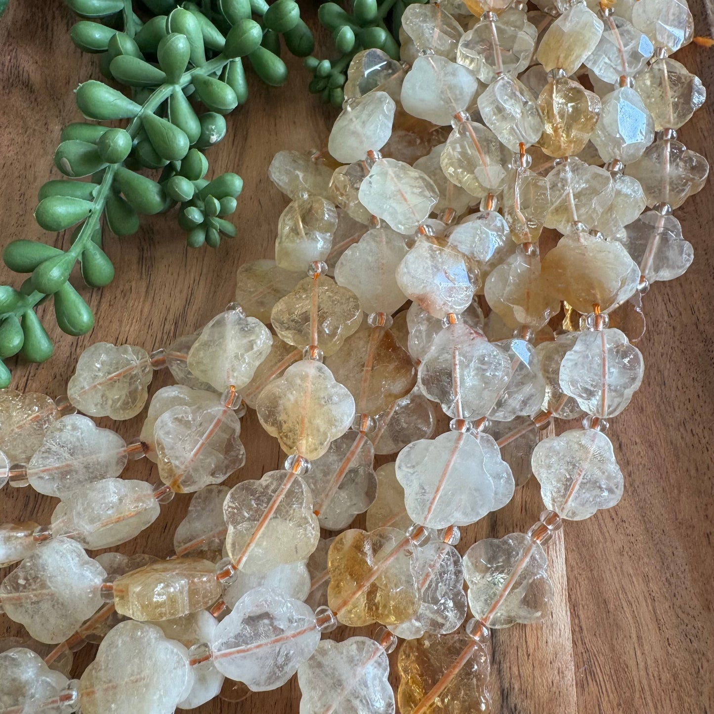 Citrine Quatrefoil Bead Strand 18mm