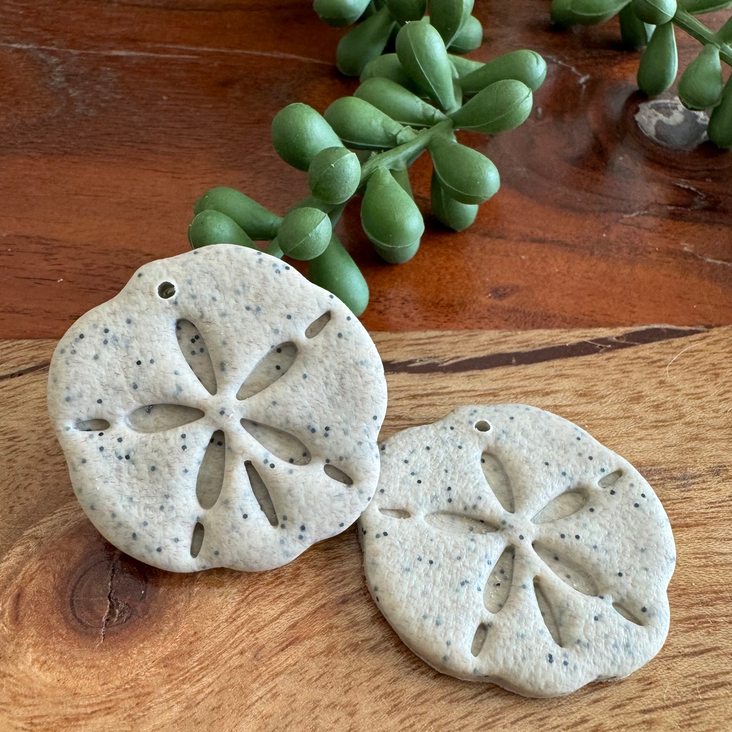 Sand Dollar Pair