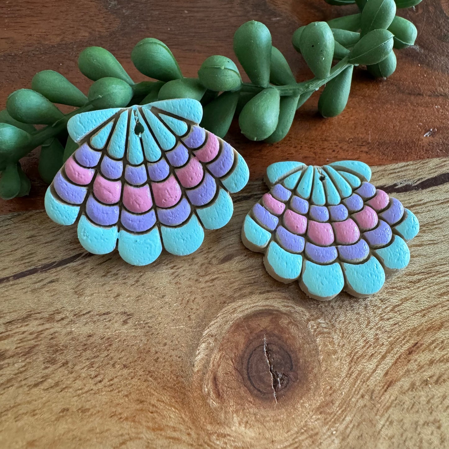 Pastel Shell Pair