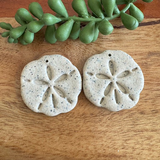 Sand Dollar Pair