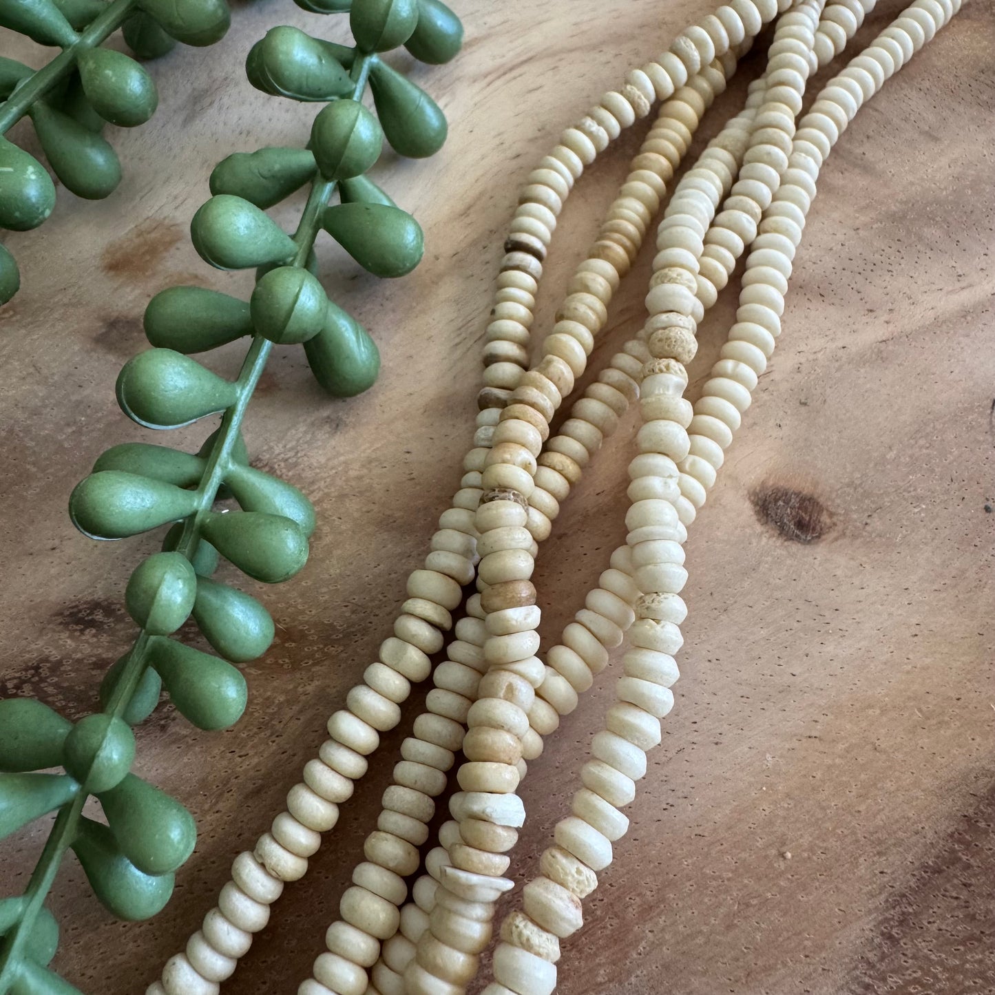 Bone Rondelle Beads – 3x5mm – 15–16 Inch Strand BN26