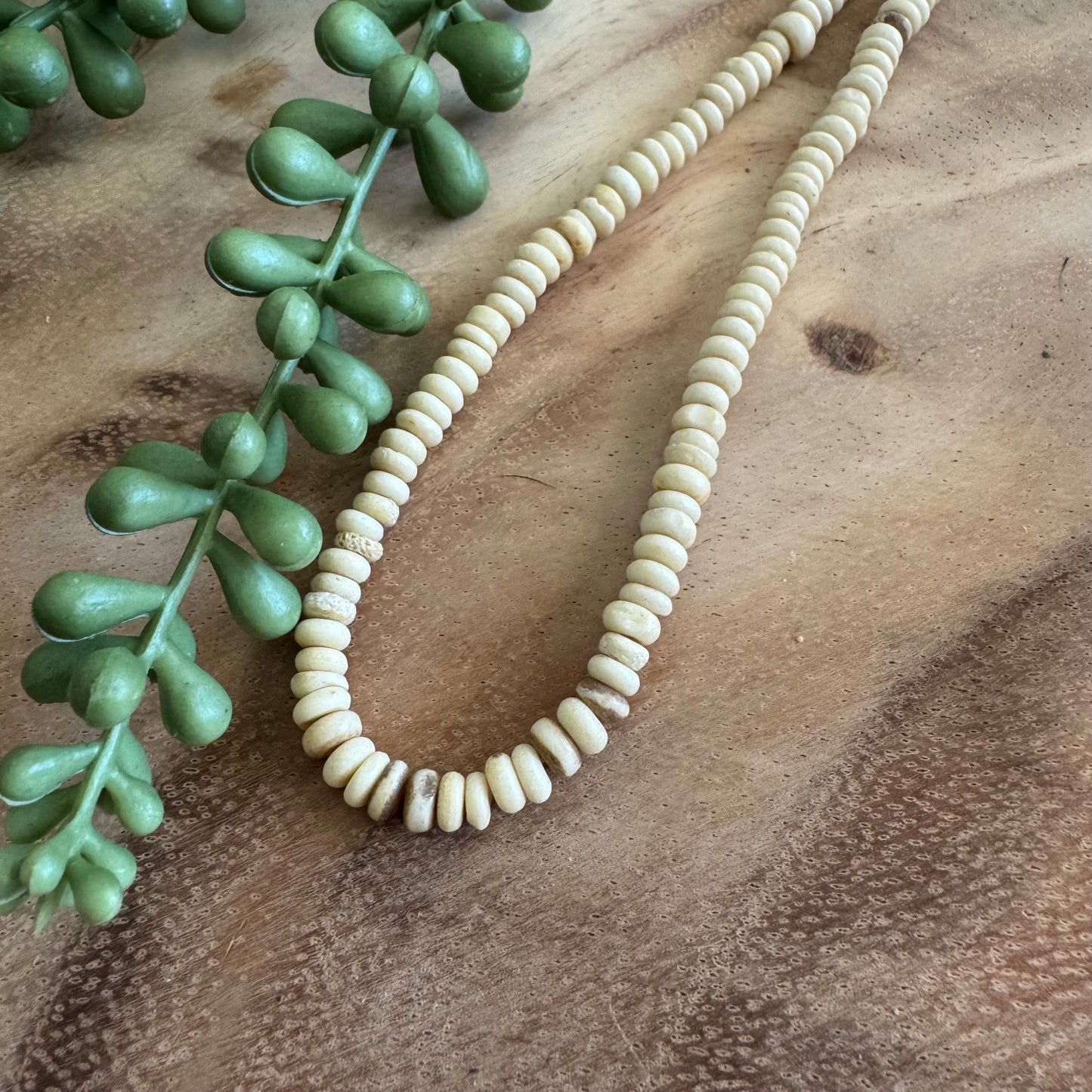 Bone Rondelle Beads – 3x5mm – 15–16 Inch Strand BN26